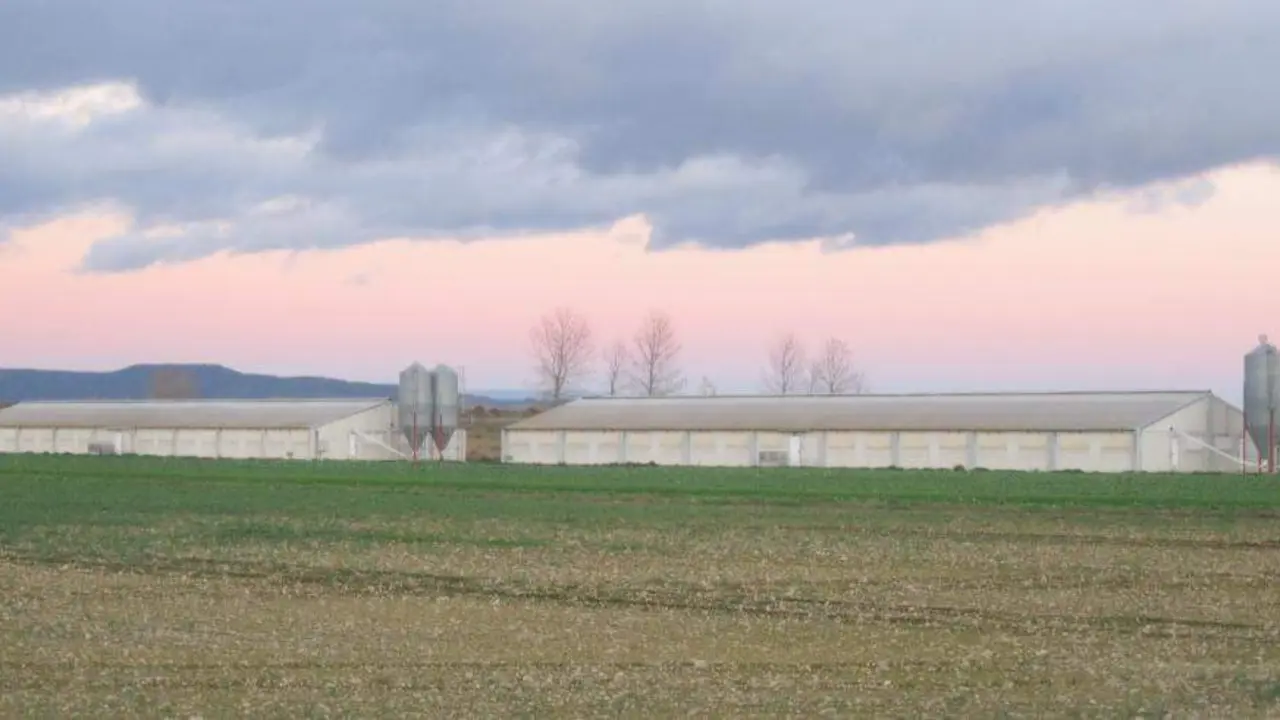 Arag&oacute;n presenta las conclusiones del proyecto europeo Life+ Manev sobre gesti&oacute;n de purines El Gobierno de Arag&oacute;n urge una Conferencia Sectorial conjunta ante la Peste Porcina Africana / Departamento de Agricultura, Ganader&iacute;a y Alimentaci&oacute;n