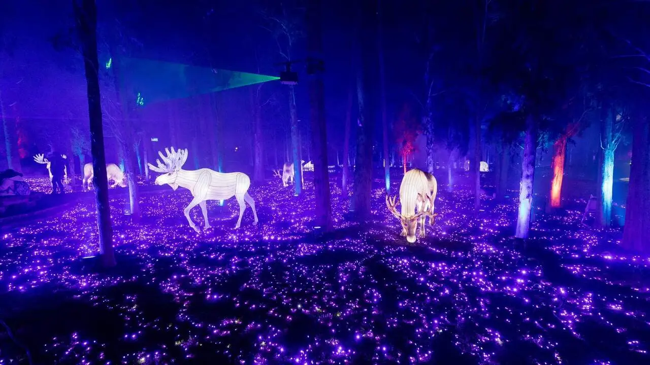 Inauguraci&oacute;n de Boreal ./ Laura Trives - Ayto. de Zaragoza