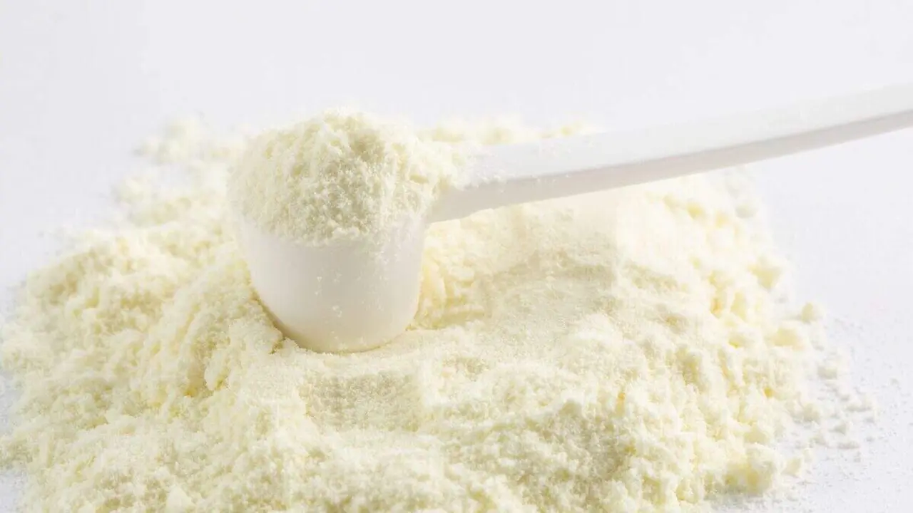 Leche en polvo