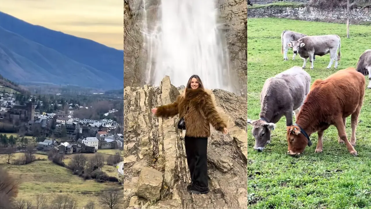 Fragmentos del v&iacute;deo publicado por @sachadeharo en Tiktok