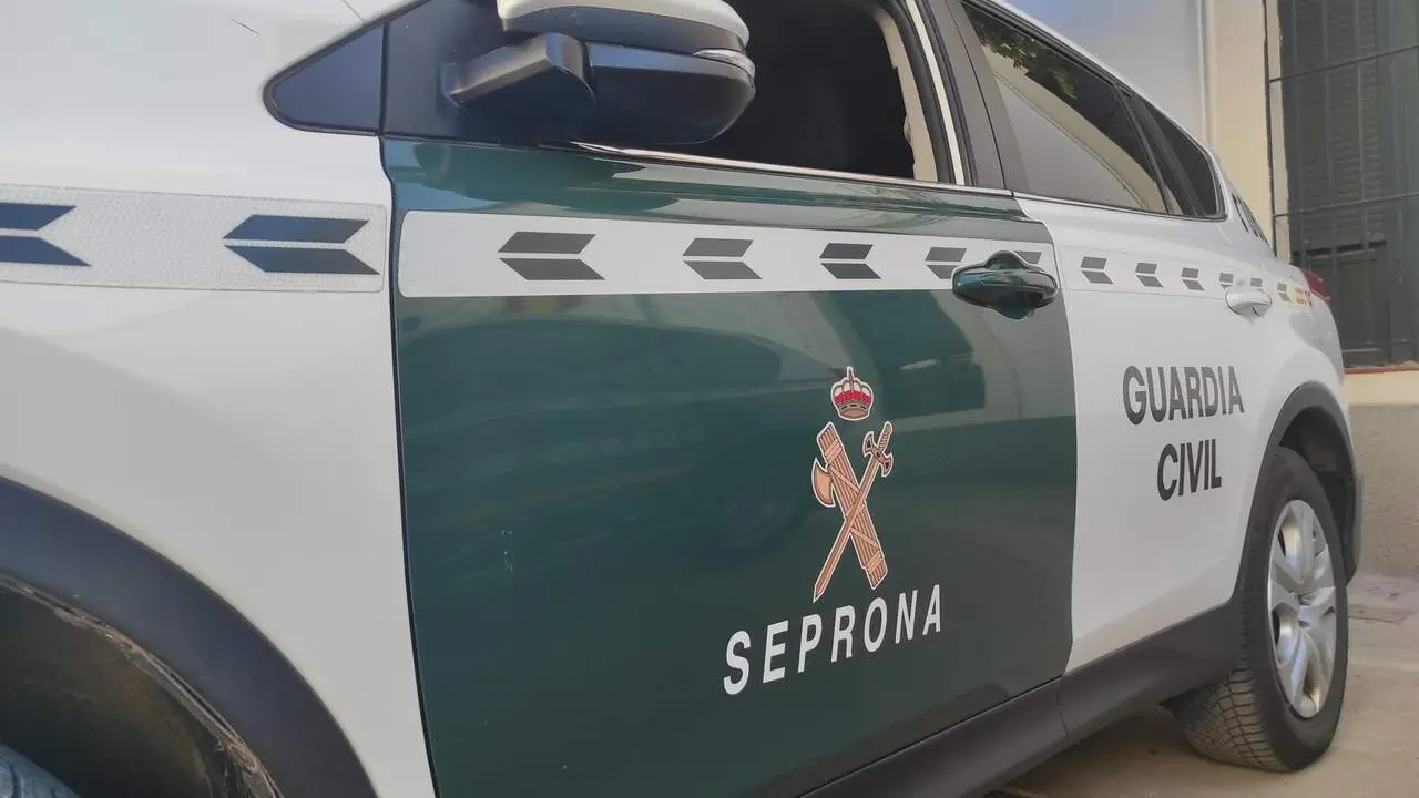 Archivo - Coche del Servicio de Protecci&oacute;n de la Naturaleza (Seprona) de la Guardia Civil. / EP