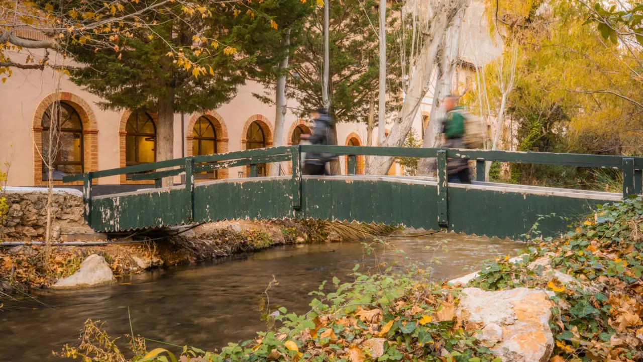 El Balneario de la Virgen, Jaraba