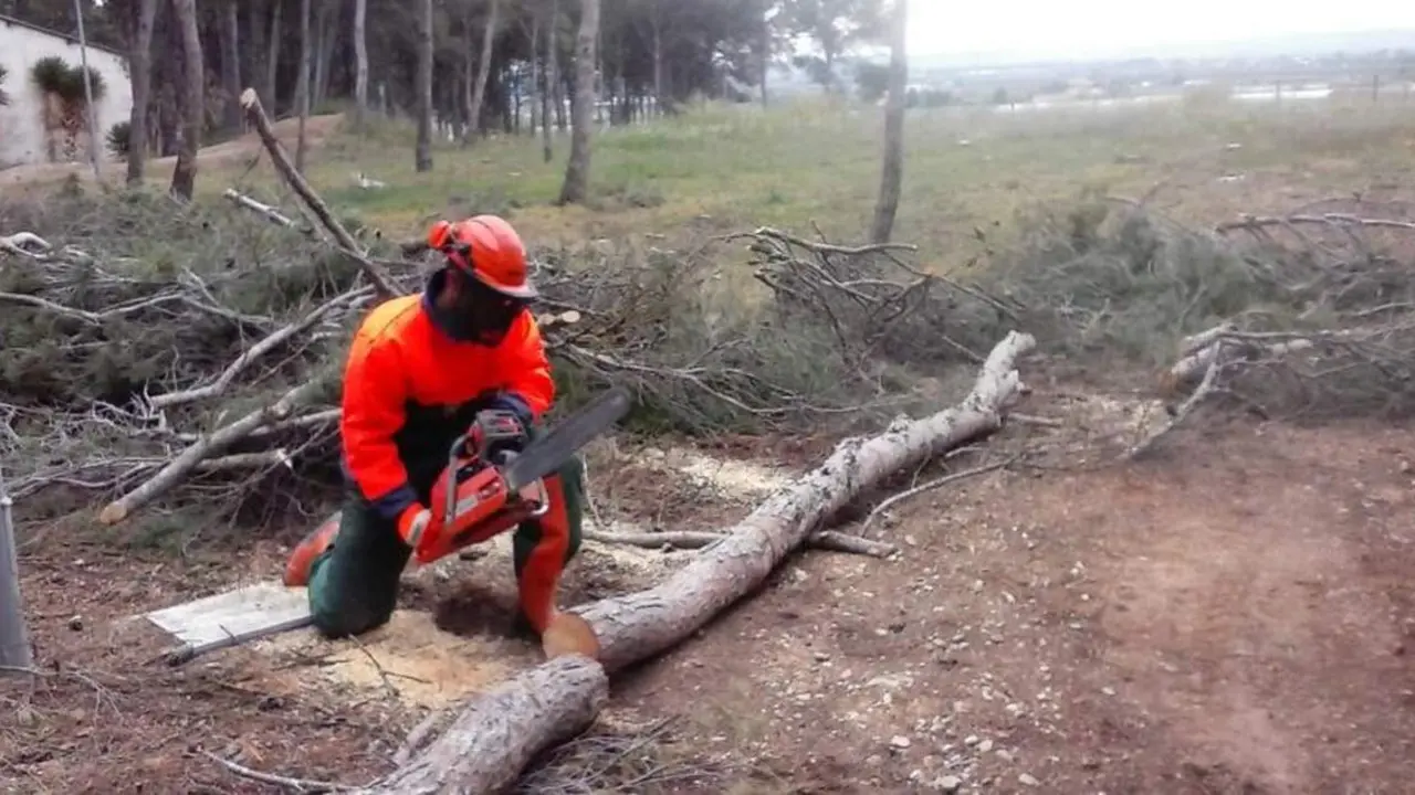 Pr&aacute;cticas de alumnos de gesti&oacute;n forestal. / GOBIERNO DE ARAG&Oacute;N