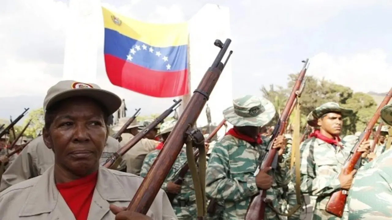 Milicias Bolivarianas, Venezuela