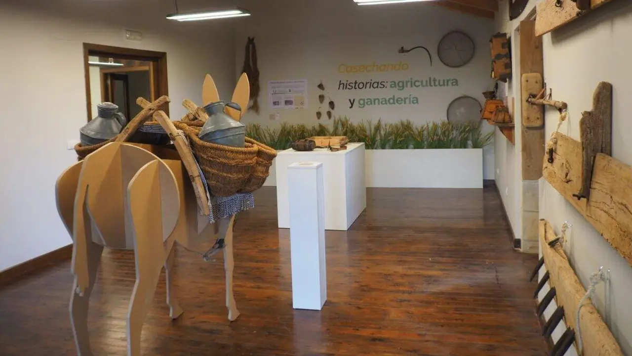 Museo etnol&oacute;gico de Biota. / COMARCA CINCO VILLAS