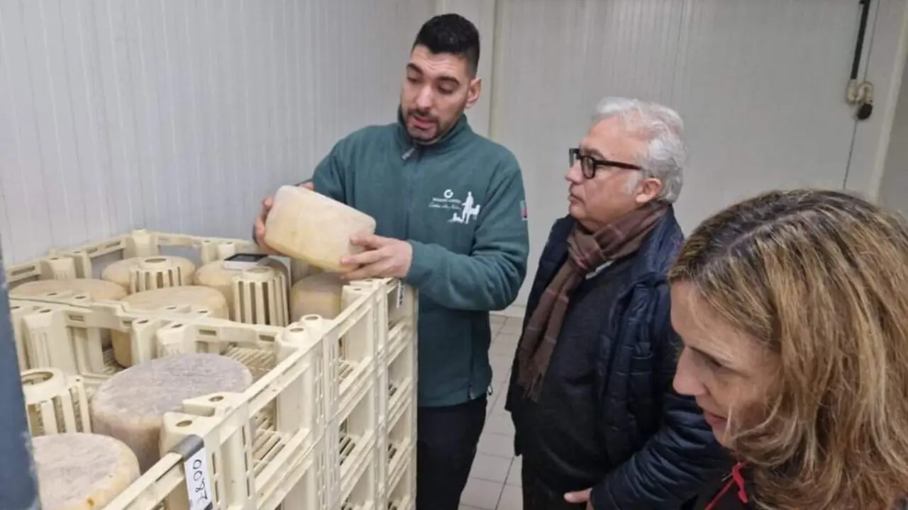 fotonoticia_20260117150546_1200