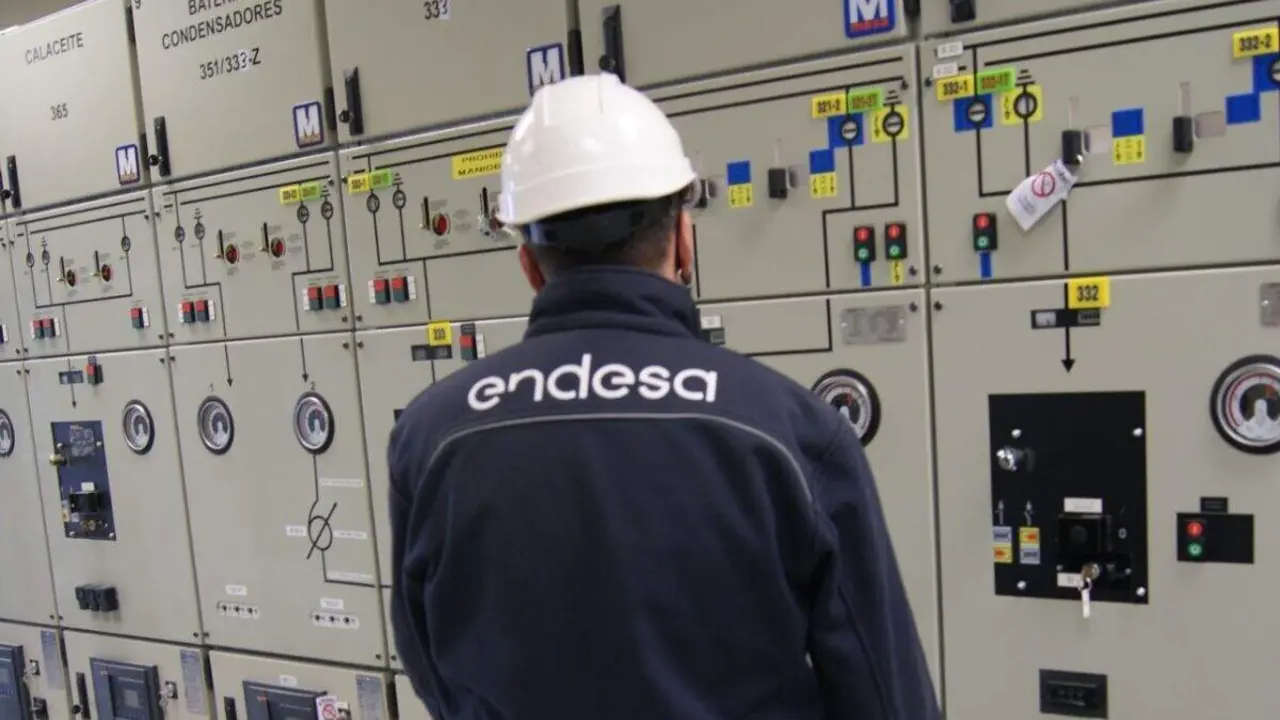 Trabajador de Endesa. / ENDESA