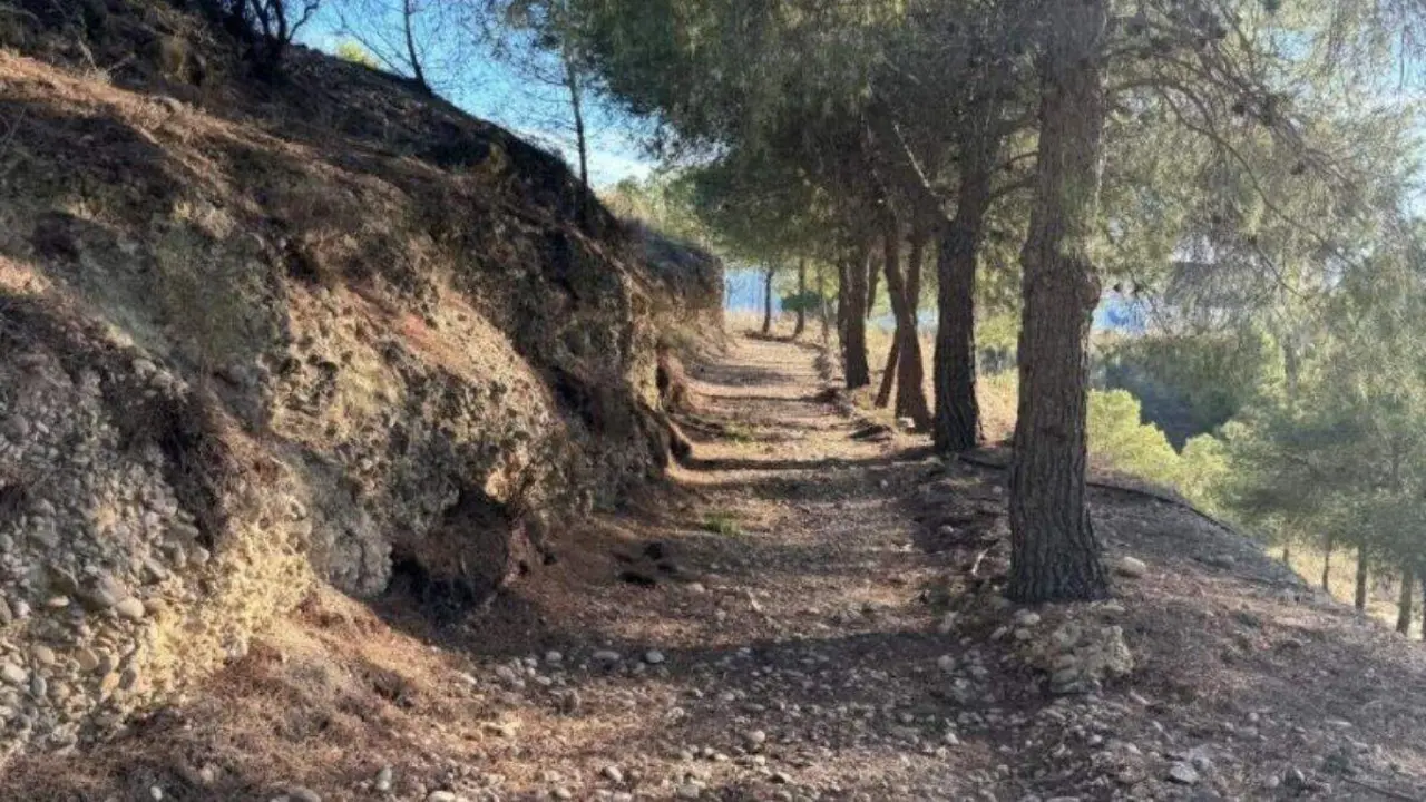 Nuevo circuito BTT en Caspe. / AYTO. CASPE
