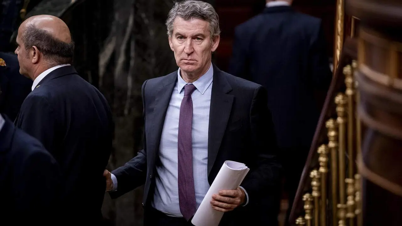 El l&iacute;der del PP, Alberto Nu&ntilde;ez Feij&oacute;o / EP