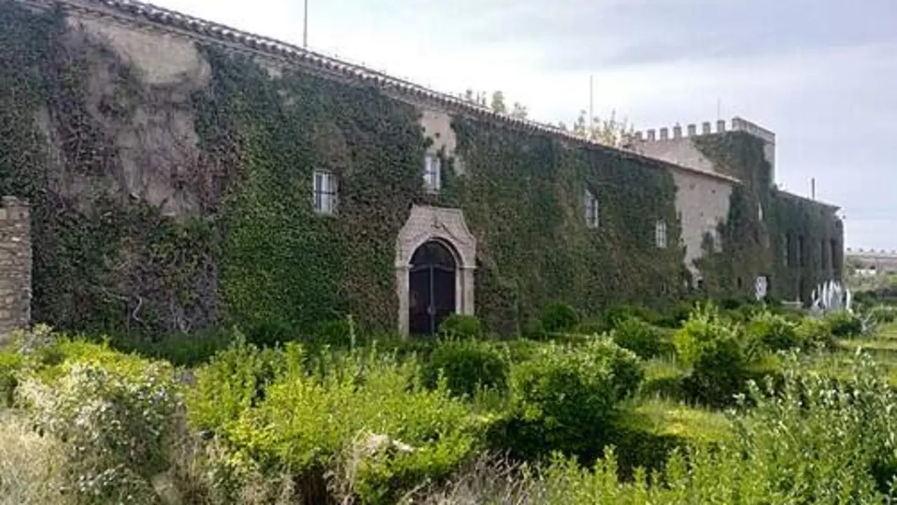Casa Palacio del Bar&oacute;n de la Gu&iacute;a Real