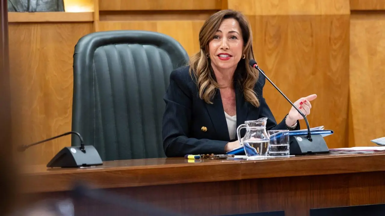 La alcaldesa, Natalia Chueca. /AZ