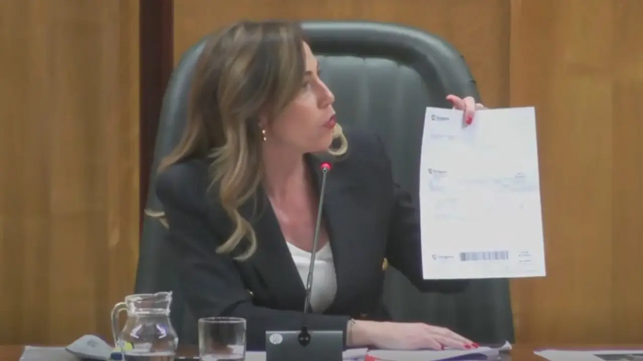 La alcaldesa de Zaragoza, Natalia Chueca, en el pleno del Ayuntamiento de Zaragoza. /HA