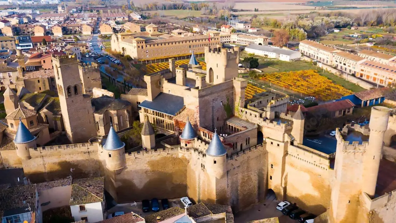 Castillo de Olite