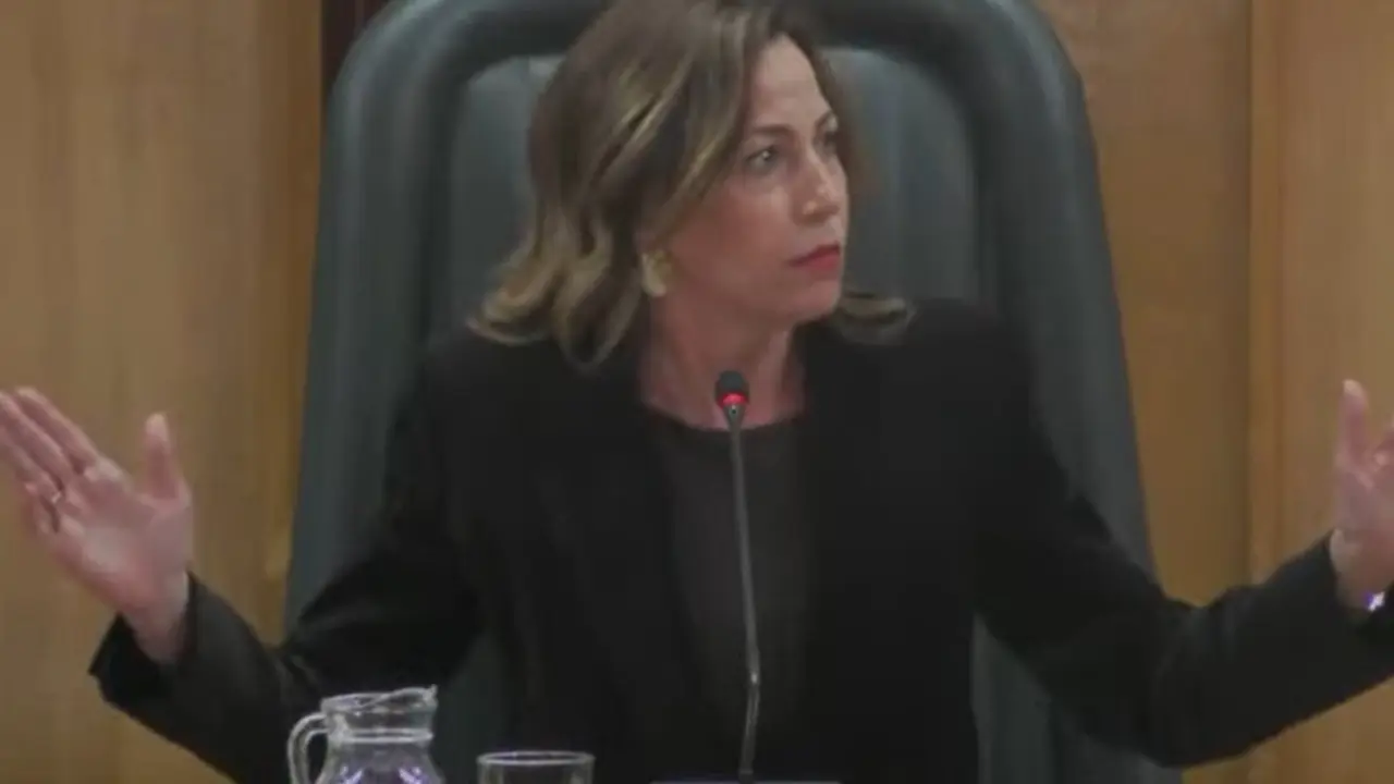 La alcaldesa Natalia Chueca. /HA