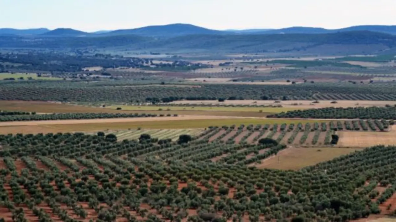 Un pueblo de Ciudad Real puede ser el m&aacute;s rico del mundo: tiene monacita bajo sus pies