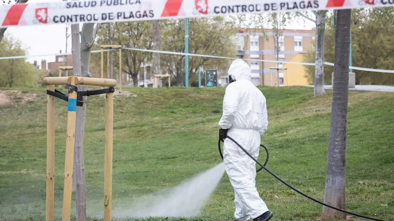 Control de plagas en Zaragoza. /AZ