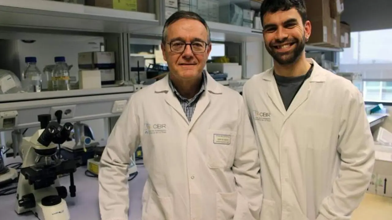 Identifican el mecanismo de acci&oacute;n de una mol&eacute;cula implicada en el desarrollo y tratamiento del c&aacute;ncer. / EP