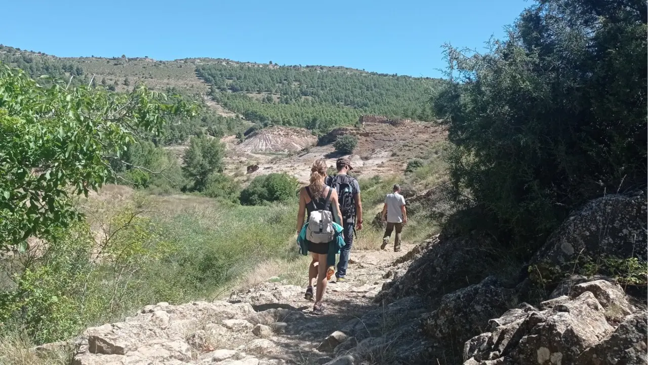 La nueva publicaci&oacute;n pone en valor el patrimonio de Gargallo (Teruel), como el 
sendero se&ntilde;alizado &laquo;La Tortuga de Gargallo&raquo;, dedicado al primer tax&oacute;n de tortuga 
mesozoica descrito en Espa&ntilde;a