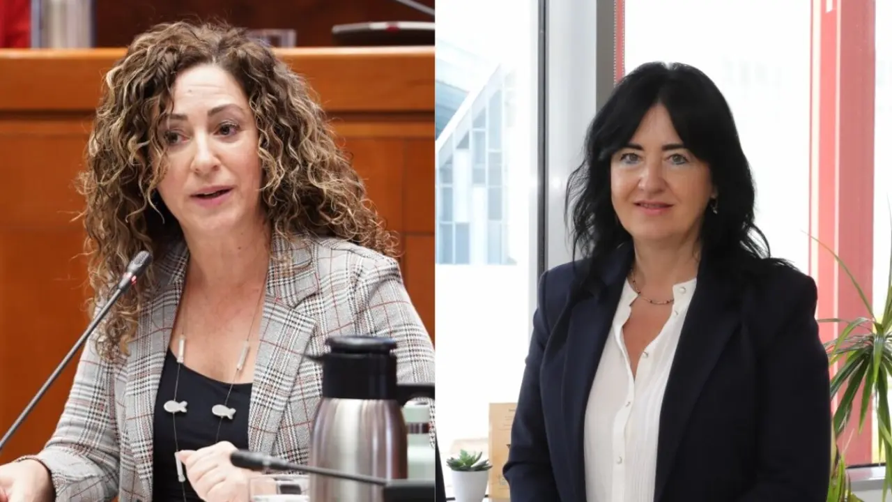 Ana Sanz y Gloria P&eacute;rez, exdirectoras generales del Gobierno de Arag&oacute;n por el acuerdo del PP y el Partido Aragon&eacute;s en la anterior legislatura / HOY ARAG&Oacute;N