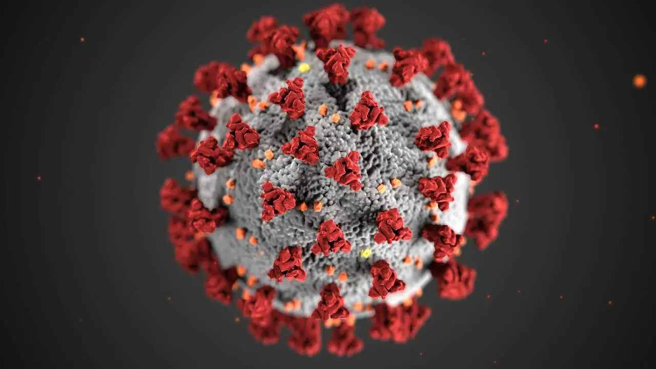 Imagen de archivo de un virus / Pexels