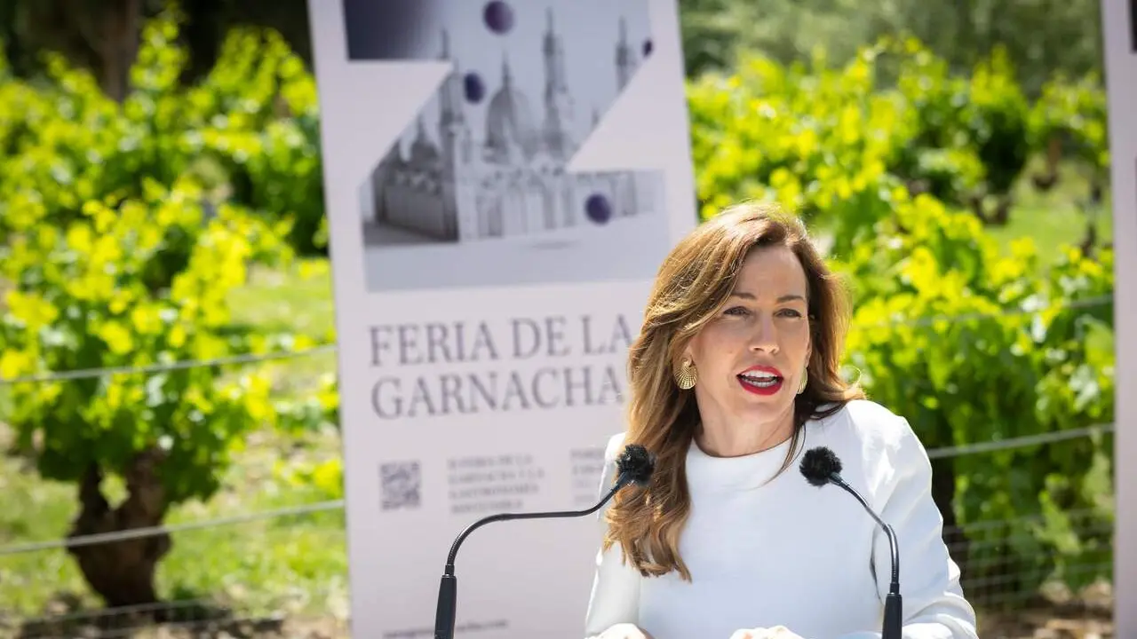 La alcaldesa Natalia Chueca. /AZ
