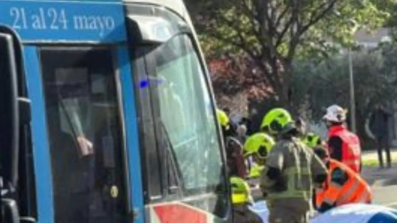Imagen del momento de la intervenci&oacute;n de los Bomberos de Zaragoza/ 
Cedida a H.A.