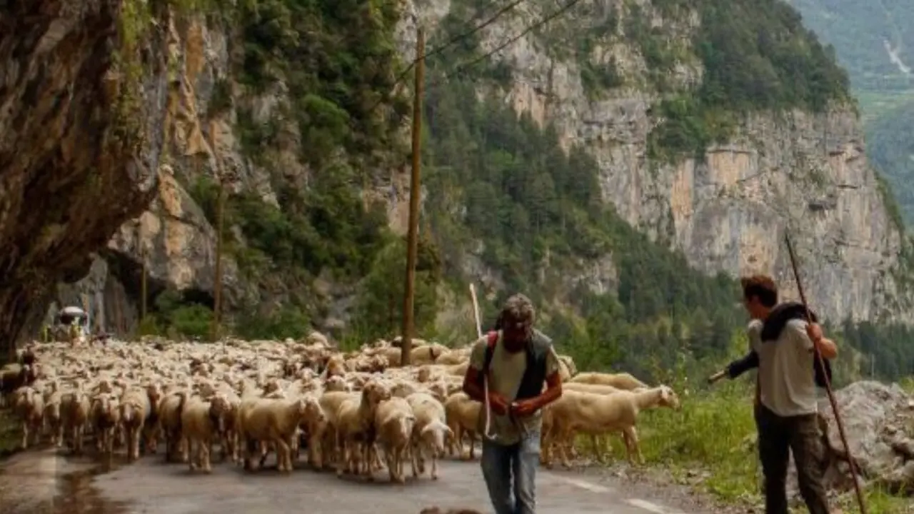 La escuela La Estiva forma a pastores en el Pirineo / La Estiva