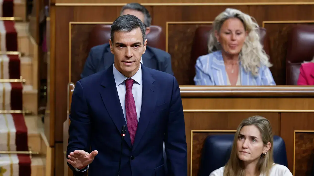 El presidente del Gobierno, Pedro S&aacute;nchez / EFE