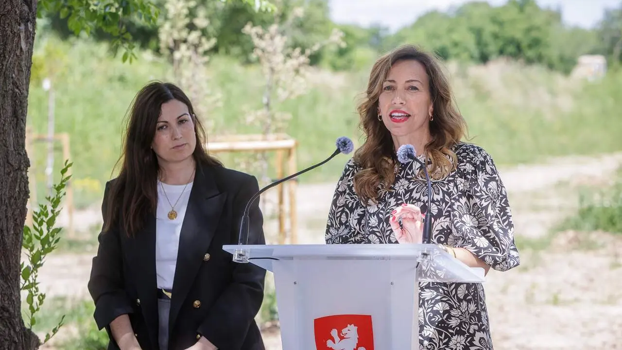 La alcaldesa, Natalia Chueca, en rueda de prensa. /AZ