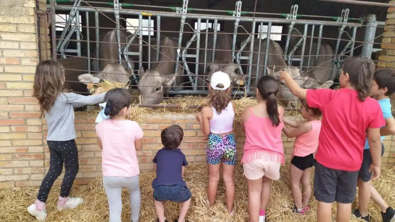 Colonias urbanas organizadas por Oc&eacute;ano Atl&aacute;ntico en la Granja Escuela de Movera (Zaragoza). / GRUPO OC&Eacute;ANO