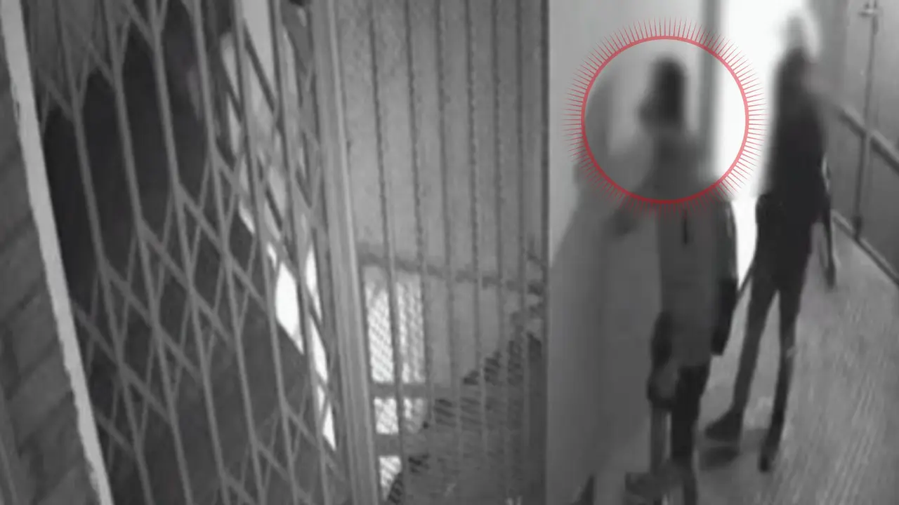 El ladr&oacute;n es interceptado por el polic&iacute;a - Polic&iacute;a Nacional