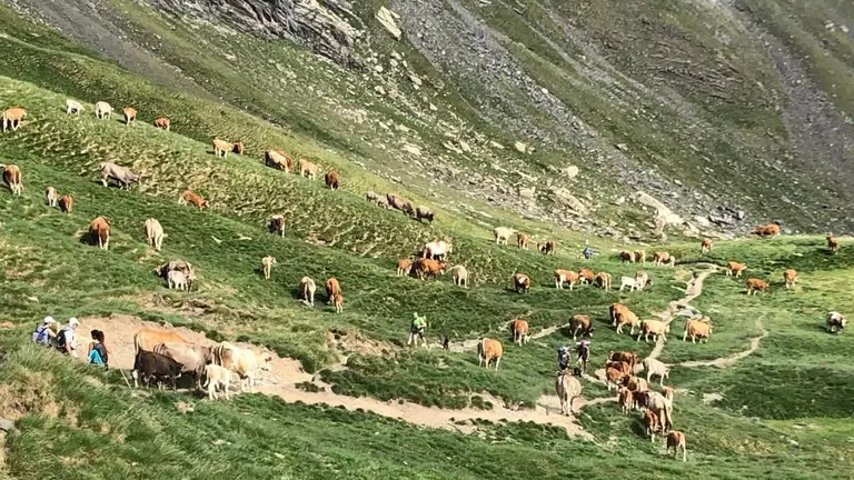Foto DGA: Ganaderos valle de Broto