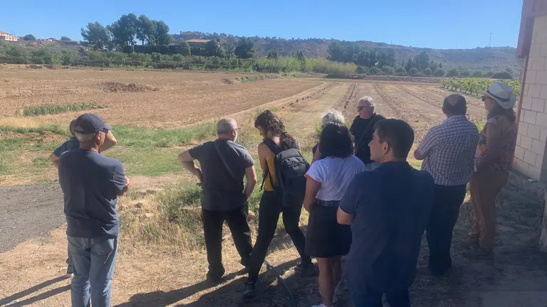 Visita de los impulsores del proyecto 'Olivos de Arag&oacute;n' a la finca experimental del CITA en Alca&ntilde;iz. / ADECOBEL