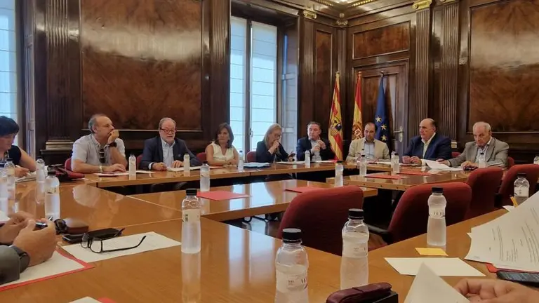 El pleno del CESA ha aprobado el informe 2023 / DGA