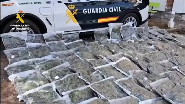 Parte de lo incautado en la operaci&oacute;n de la Guardia Civil en La Ribagorza / Guardia Civil
