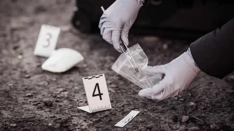 Estudiar criminolog&iacute;a en Zaragoza 