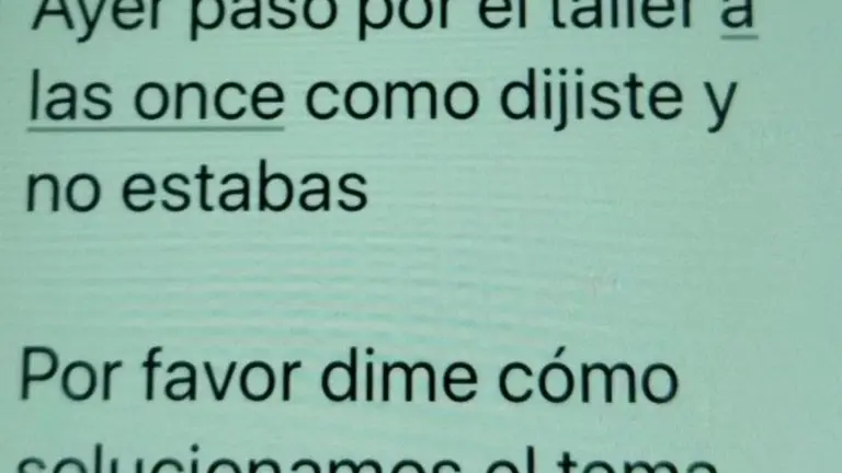 Imagen de parte de los mensajes mandados al taller por los due&ntilde;os del coche /H.A.