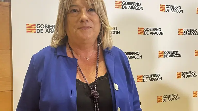 La consejera de Educaci&oacute;n, Cultura y Deporte del Gobierno de Arag&oacute;n, Tomasa Hern&aacute;ndez. / E.P.
