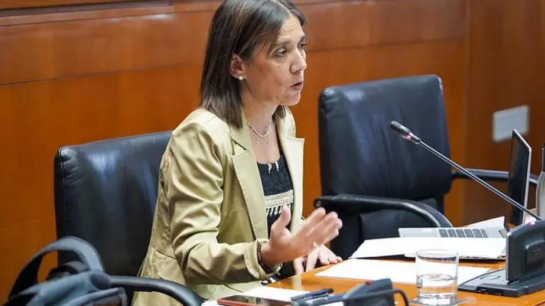 Ana G&oacute;mez, Interventora General, durante su comparecencia en la Comisi&oacute;n de Hacienda, Interior y Presupuestos del Gobierno de Arag&oacute;n.