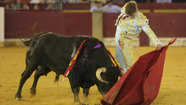 Javier Zulueta con el sexto toro de la tarde