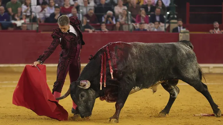 Manuel Escribano ante los miura