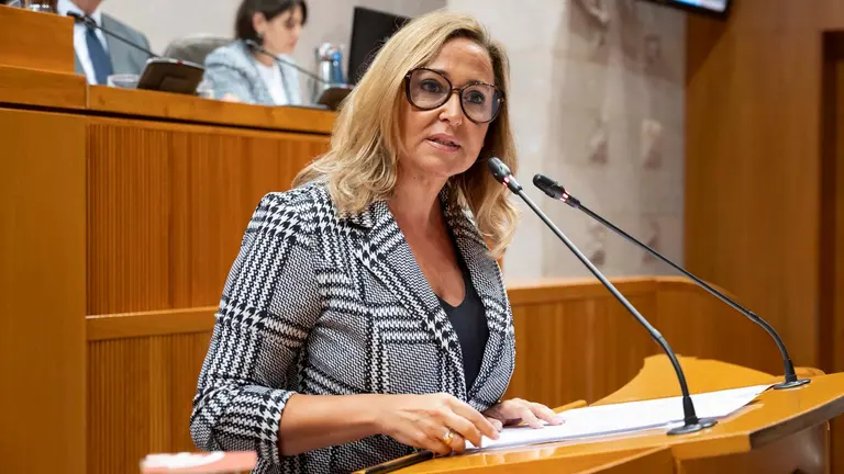 La portavoz socialista en Las Cortes, Mayte P&eacute;rez, en el turno de r&eacute;plica en el Debate sobre el estado de la Comunidad / PSOE Arag&oacute;n