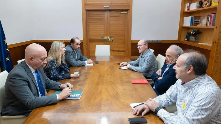 La reuni&oacute;n ha tenido lugar en el Edificio Pignatelli / Fabi&aacute;n Sim&oacute;n