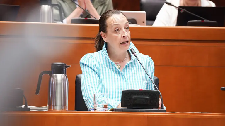La consejera de Bienestar Social y Familia, Carmen Sus&iacute;n, en las Cortes