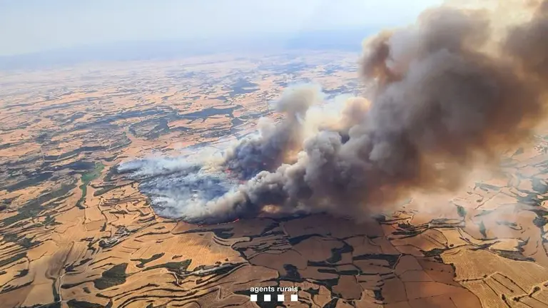 Imagen a&eacute;rea del fuego que se declaraba ayer tarde en la provincia de L&eacute;rida/ DPH