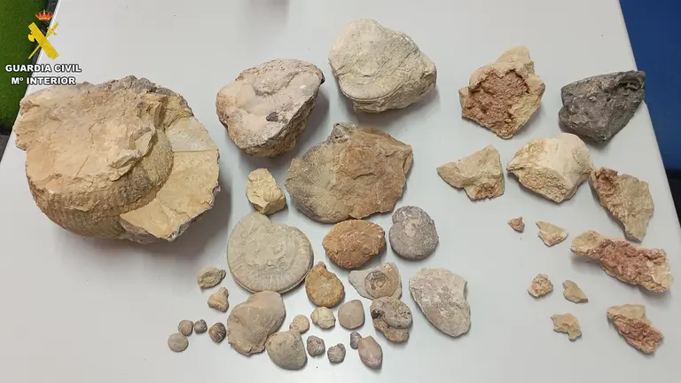 Minerales y f&oacute;siles hallados por la Guardia Civil en un caso de expolio del patrimonio natural. / GUARDIA CIVIL