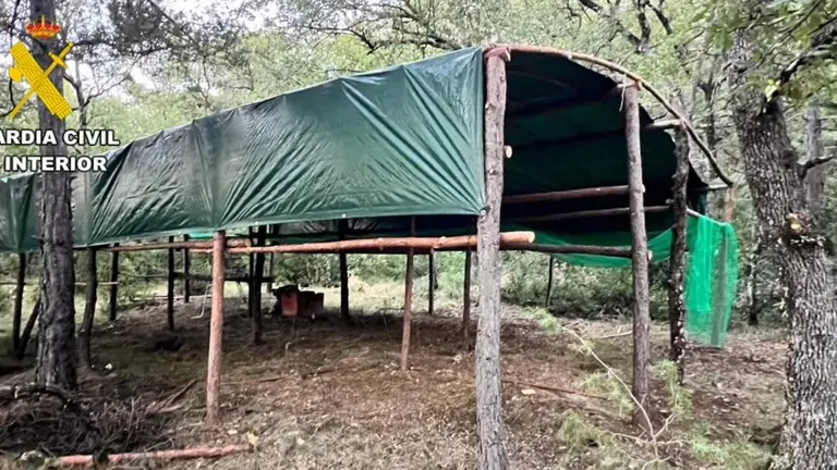 A prisi&oacute;n cuatro hombres tras desmantelar seis macroplantaciones de marihuana en Sobrarbe y Ribagorza. / GUARDIA CIVIL