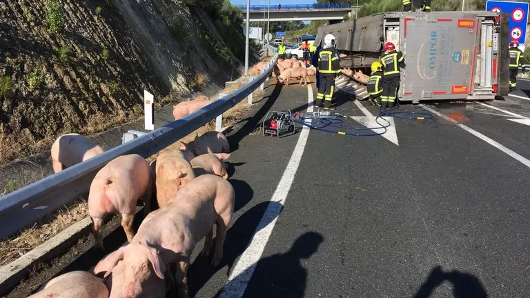Imagen de archivo - accidente de un cami&oacute;n que transportaba cerdos