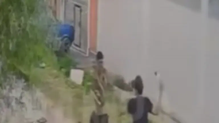 Captura del v&iacute;deo