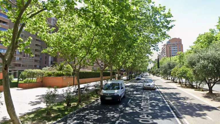 Archivo- Avenida de G&oacute;mez Laguna ./ Google Maps